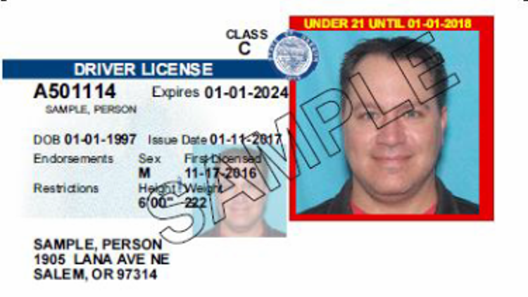 Locate A Person By Drivers License Number